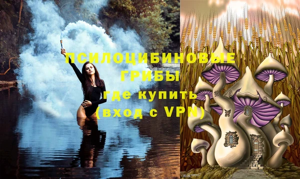 кокс Бородино