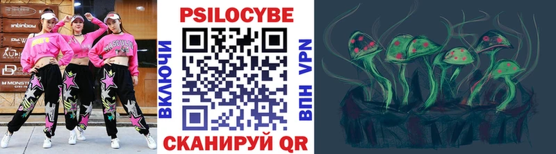 купить сайты Верхотурье Псилоцибиновые грибы Psilocybine cubensis